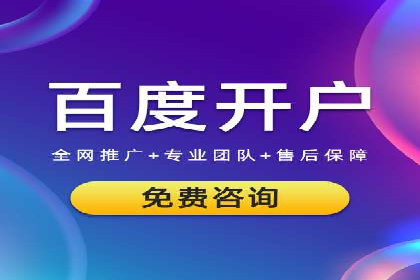 SEM外包服务优势案例分析